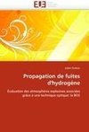 Propagation de fuites d'hydrogène