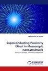 Superconducting Proximity Effect in Mesoscopic Nanostructures