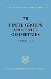 Finite Groups and Finite Geometries