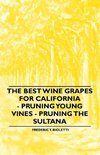 The Best Wine Grapes for California - Pruning Young Vines - Pruning the Sultana