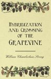 Hybridization and Crossing of the Grapevine