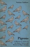 Pigeons - A Collection of Articles on the Origins, Varieties and Methods of Pigeon Keeping