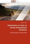 Génération et mise en forme d'impulsions térahertz