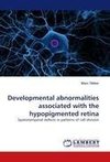 Developmental abnormalities associated with the hypopigmented retina