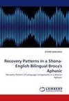 Recovery Patterns in a Shona- English Bilingual Broca's Aphasic