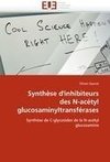 Synthèse d'inhibiteurs des N-acétyl glucosaminyltransférases