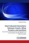 Heat Induced Interactions between Casein, Whey Proteins and Lecithins