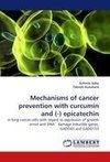 Mechanisms of cancer prevention with curcumin and (-) epicatechin