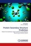 Protein Secondary Structure Prediction