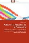 Autour de la Réduction de la Phosphinine