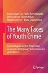 The Many Faces of Youth Crime