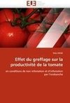 Effet du greffage sur la productivité de la tomate