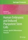 Human Embryonic and Induced Pluripotent Stem Cells