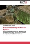 Electrorretinografía en la iguana