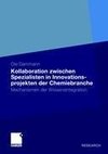 Kollaboration zwischen Spezialisten in Innovationsprojekten der Chemiebranche