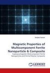 Magnetic Properties of Multicomponent Ferrite Nanoparticle & Composite