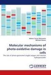 Molecular mechanisms of photo-oxidative damage in cells