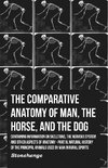 Stonehenge: Comparative Anatomy of Man, the Horse, and the D