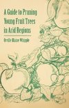 A Guide to Pruning Young Fruit Trees in Arid Regions