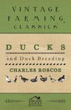 Ducks and Duck Breeding