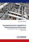 Exergoeconomics Applied to Thermochemical Processes