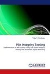 Pile Integrity Testing