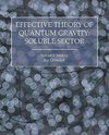 Effective Theory of Quantum Gravity