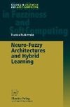 Neuro-Fuzzy Architectures and Hybrid Learning