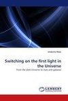 Switching on the first light in the Universe