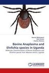 Bovine Anaplasma and Ehrlichia species in Uganda