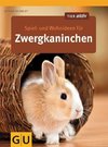 Spiel- und Wohnideen für Zwergkaninchen