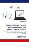 Identification Of Genetic Relation Between Fish Species Using SDS-PAGE