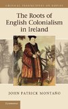 The Roots of English Colonialism in Ireland