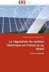 La régulation du secteur électrique en France et au Brésil