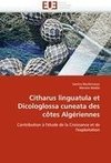 Citharus linguatula et Dicologlossa cuneata des côtes Algériennes