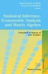 Statistical Inference, Econometric Analysis and Matrix Algebra