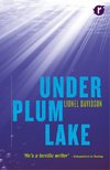 Under Plum Lake