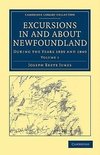 Excursions in and about Newfoundland, during the Years 1839 and 1840             - Volume 1