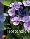 Hortensien