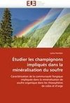 Étudier les champignons impliqués dans la minéralisation du soufre