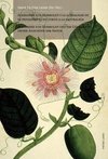 Alexander von Humboldt y la actualidad de su pensamiento en torno a la naturaleza.  Alexander von Humboldt und die Gültigkeit seiner Ansichten der Natur