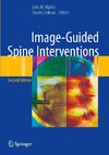 Image-Guided Spine Interventions