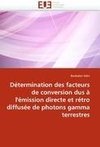 Détermination des facteurs de conversion dus à l'émission directe et rétro diffusée de photons gamma terrestres