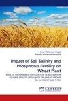 Impact of Soil Salinity and Phosphorus Fertility on Wheat Plant