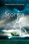 The Storms of Life