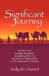 Significant Journey