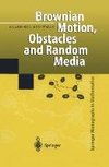 Brownian Motion, Obstacles and Random Media