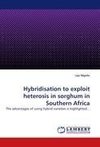 Hybridisation to exploit heterosis in sorghum in Southern Africa