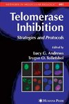 Telomerase Inhibition