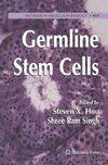 Germline Stem Cells